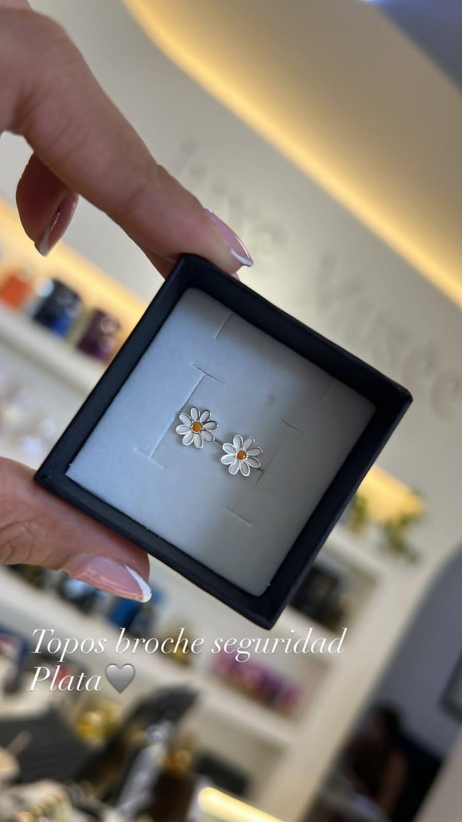ARETES PLATA